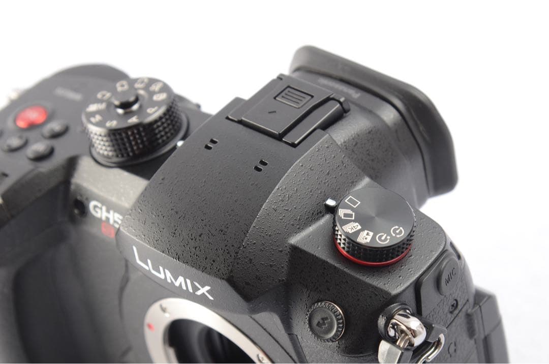 ■ ショット約510回 ■Panasonic DC-GH5S 予備バッテリー付