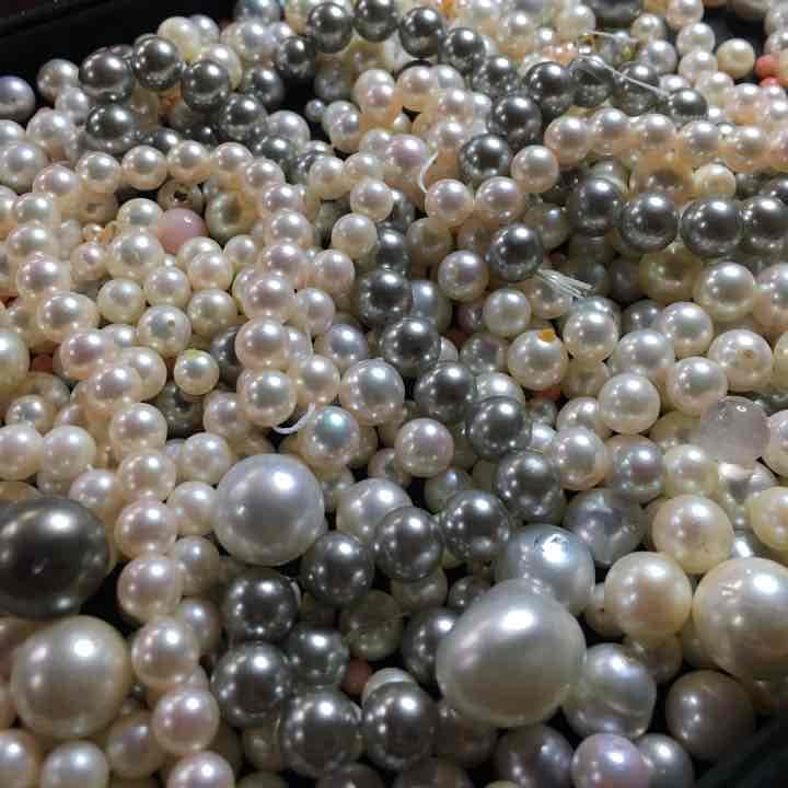 パール ルース 【大量】