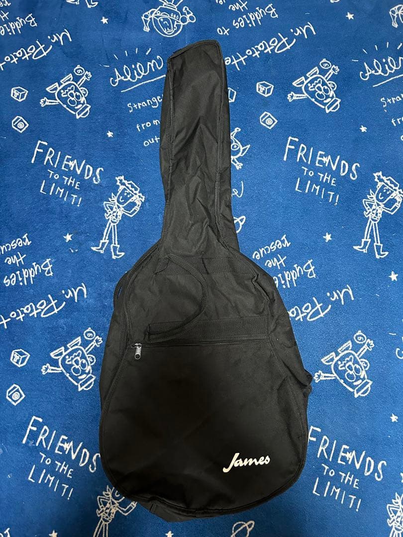 最終特価‼️美品70年代黒沢楽器レアビンテージ❣️ジュリアンF-150バック虎杢