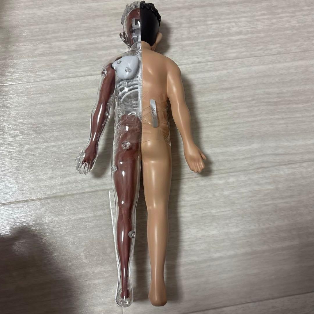 ポルノグラフィティ　人体模型　チャレンジグッズ　激レア