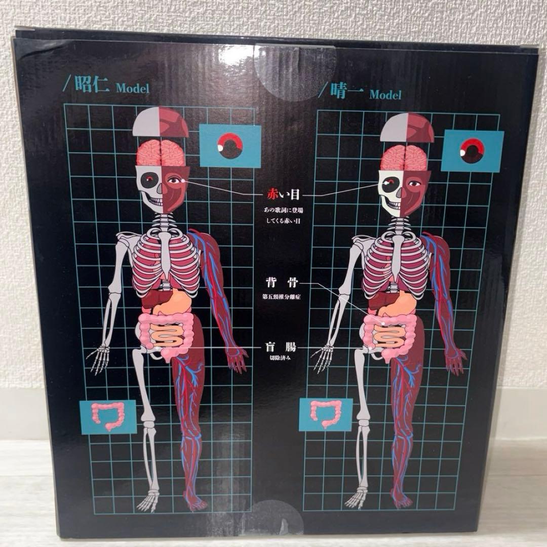 ポルノグラフィティ　人体模型　チャレンジグッズ　激レア