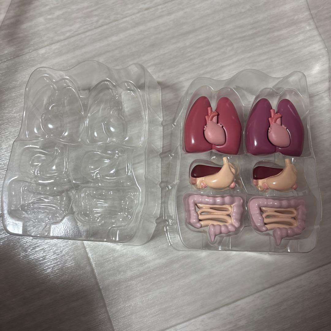 ポルノグラフィティ　人体模型　チャレンジグッズ　激レア