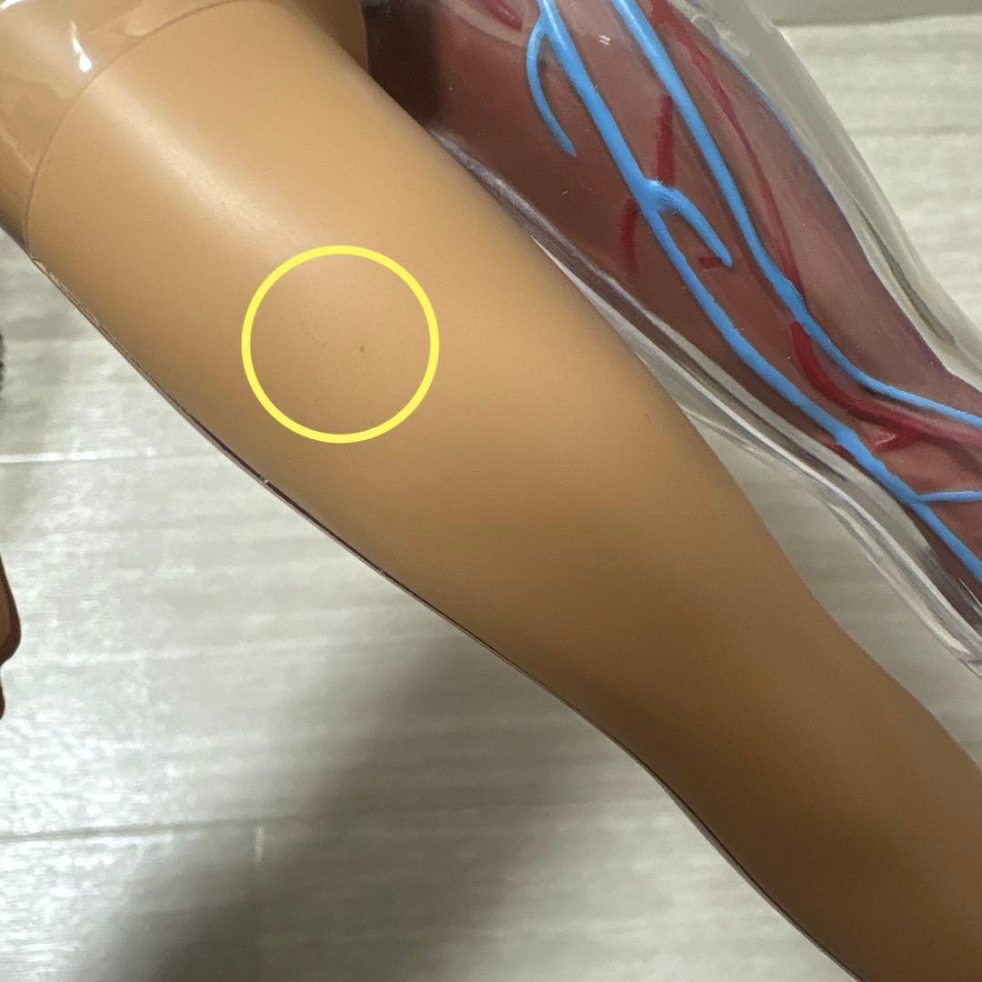 ポルノグラフィティ　人体模型　チャレンジグッズ　激レア