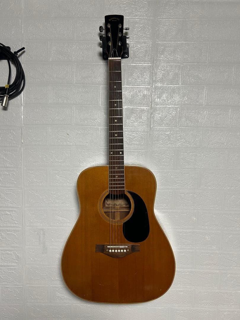 価格相談可【レア】Takamine Deluxe ゼロフレット　ハードケース付き