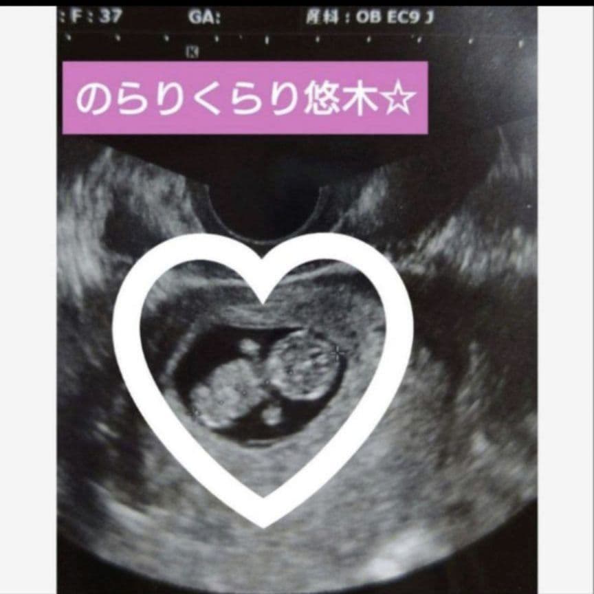 説明文必読721②タイアップコラボ商品∞のらVerドッグタグ
不老長寿の護符
