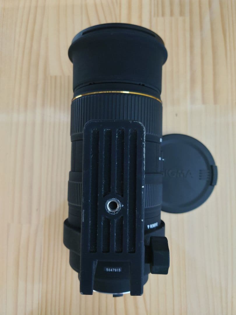SIGMA シグマ APO 50-500mm F4-6.3 EX DG HSM