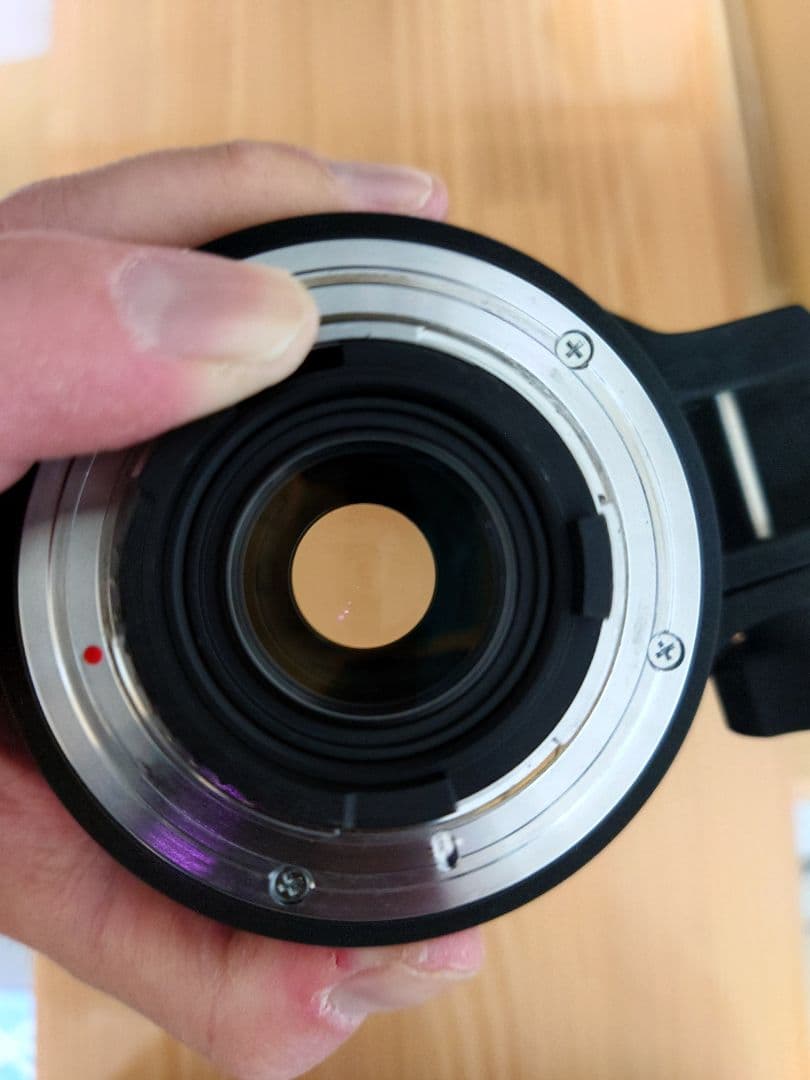 SIGMA シグマ APO 50-500mm F4-6.3 EX DG HSM