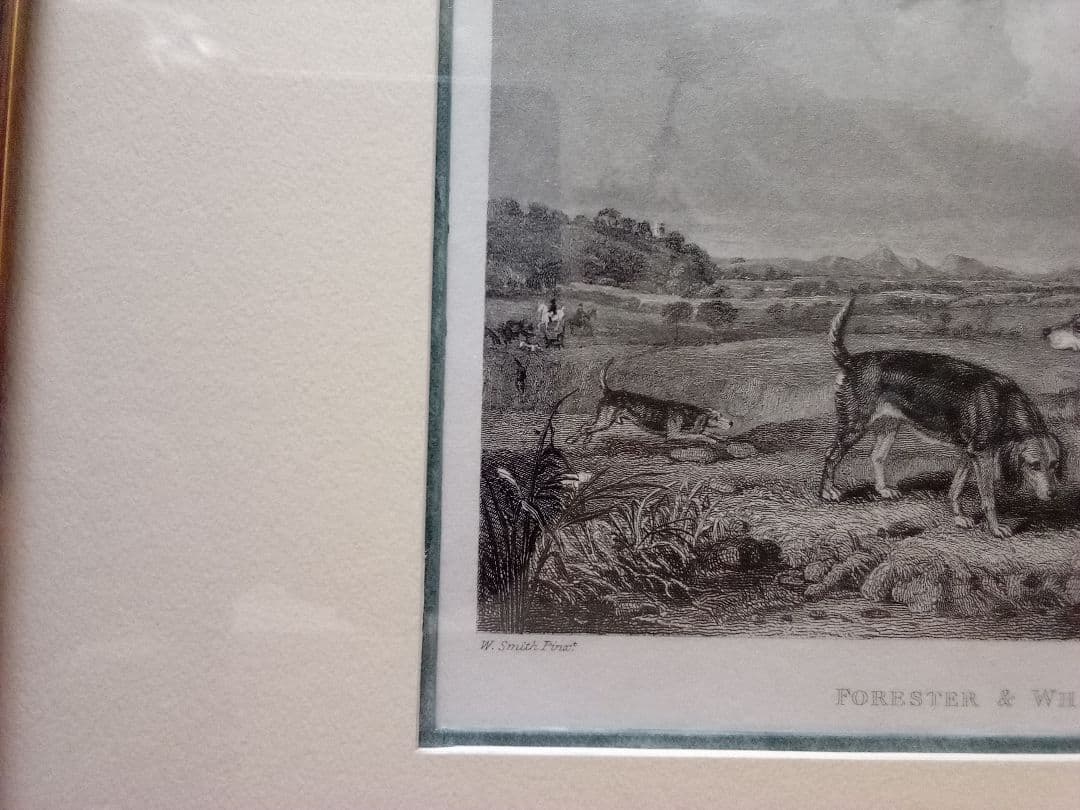 イギリス 銅版画 (エッチング技法) の額装品 猟犬