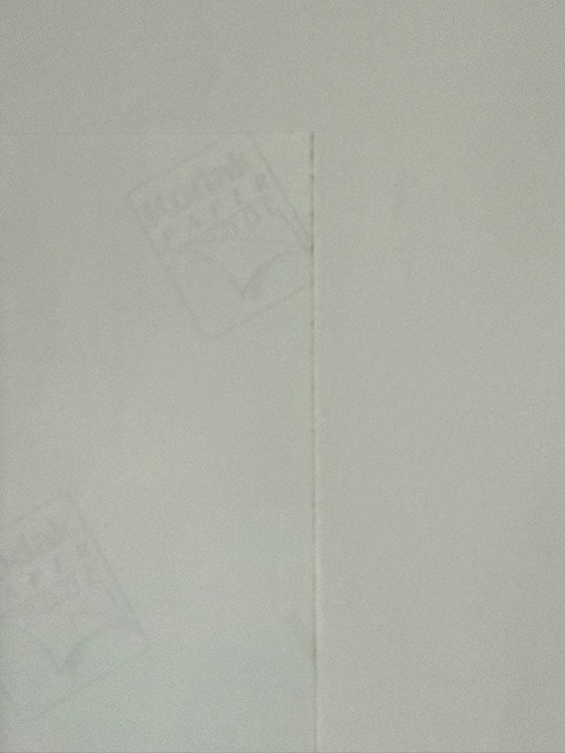 橋本奈々未生写真3枚セット【イベント限定特典品】【非売品】【最終在庫1点限り】