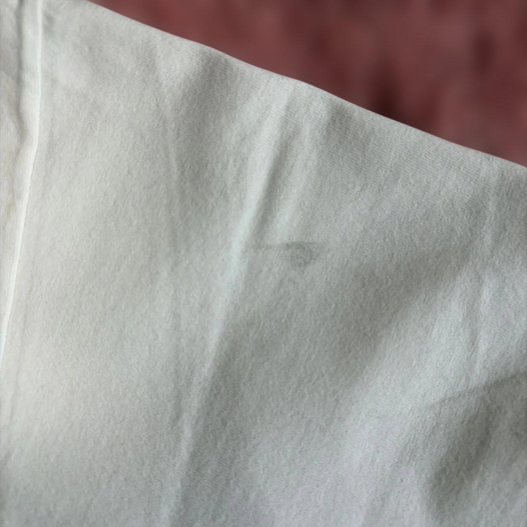 90s Red Hot Chili Peppers 1996年ワールドツアー