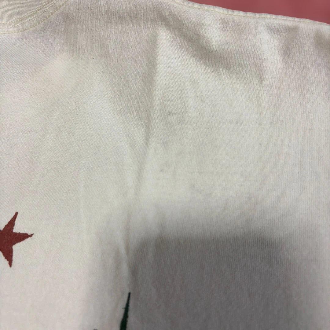 90s Red Hot Chili Peppers 1996年ワールドツアー