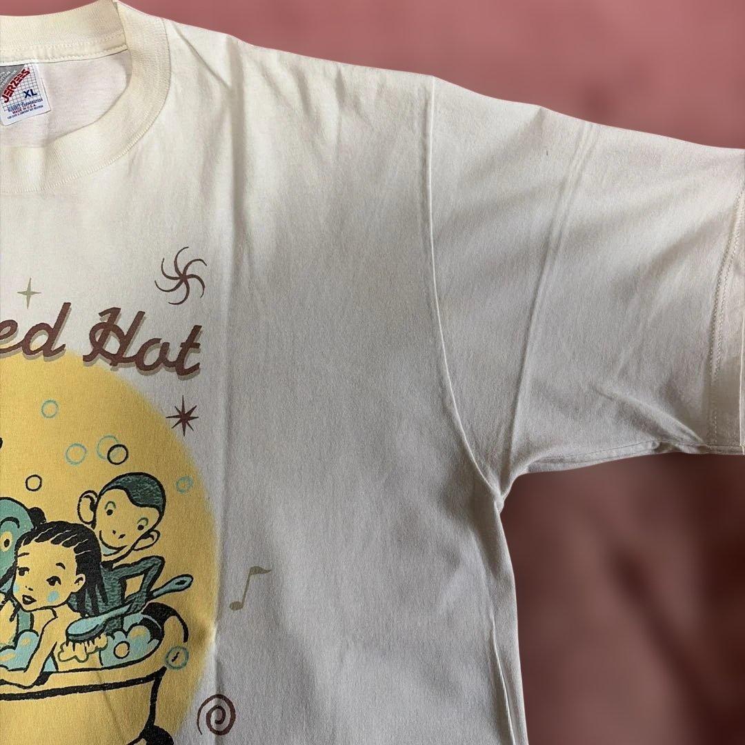 90s Red Hot Chili Peppers 1996年ワールドツアー