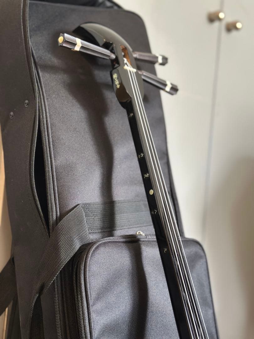 三線　沖縄　本蛇皮強化張り　初心者向けスタンダードセット(DVD付き)