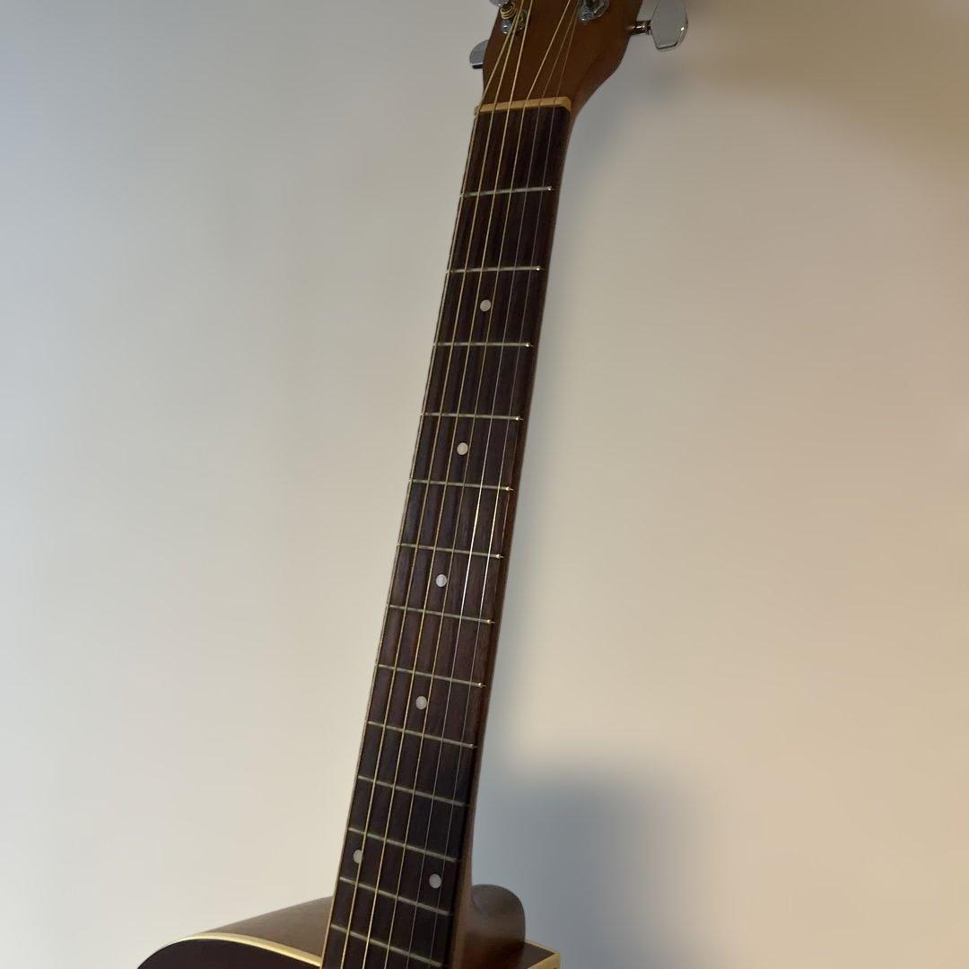 Art＆lutherie Cedar Antique Burst