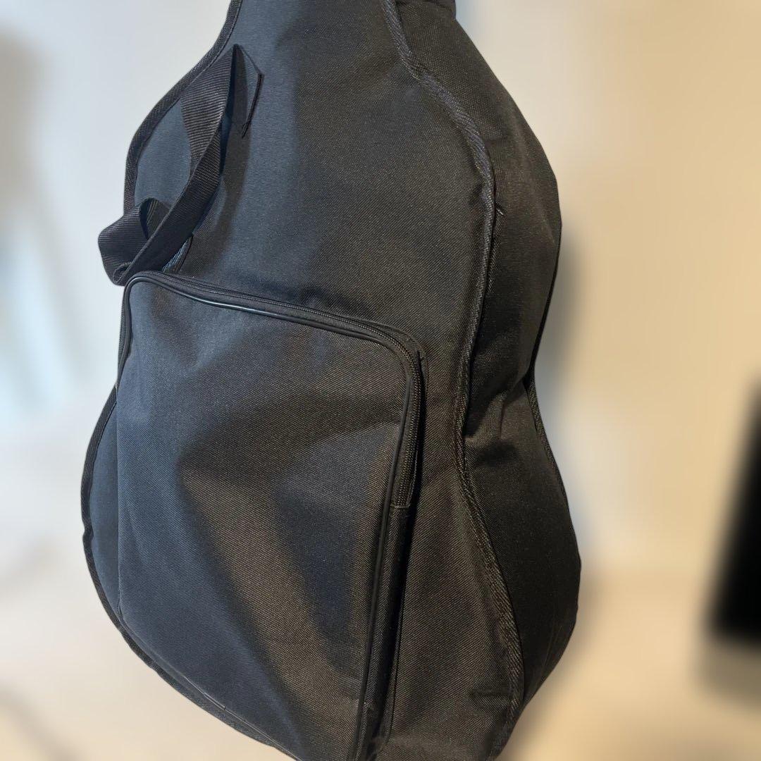 Art＆lutherie Cedar Antique Burst