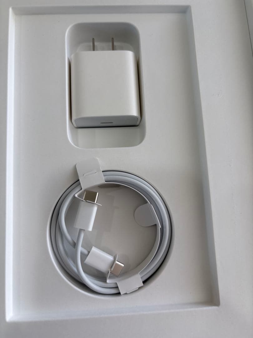 Apple iPad Air 10.9インチ スペースグレイ　第4世代 本体