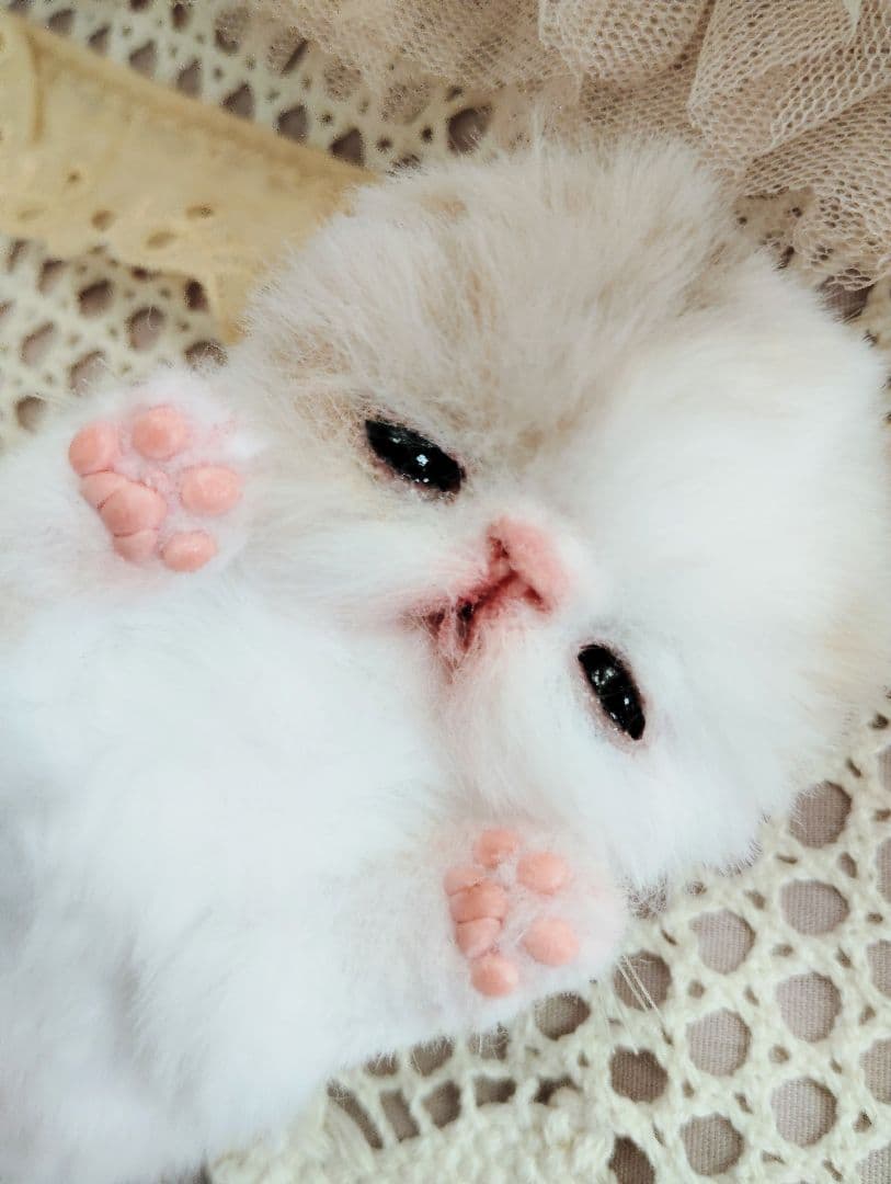 エキゾ子猫ちゃん♡生後7日♡オメメ開いたよ♡フリフリマットセット♡アートドール♡