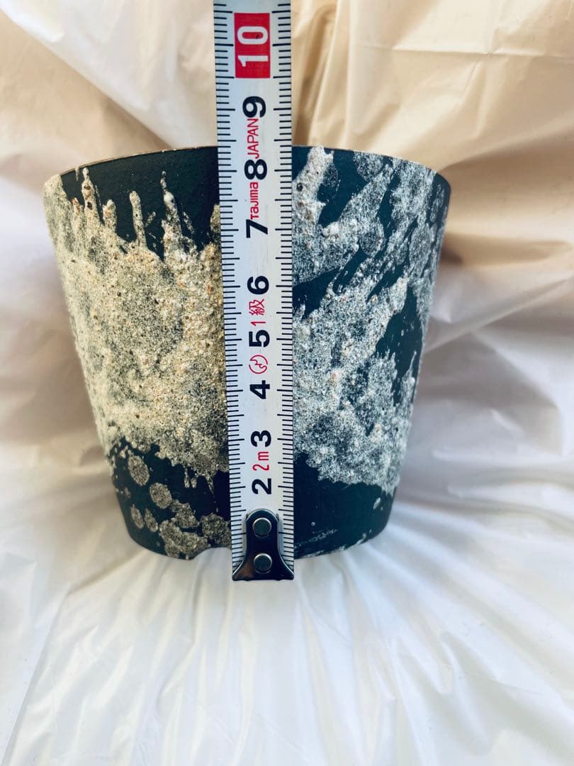 鉢5個セット 植木鉢 陶器鉢 TOKY