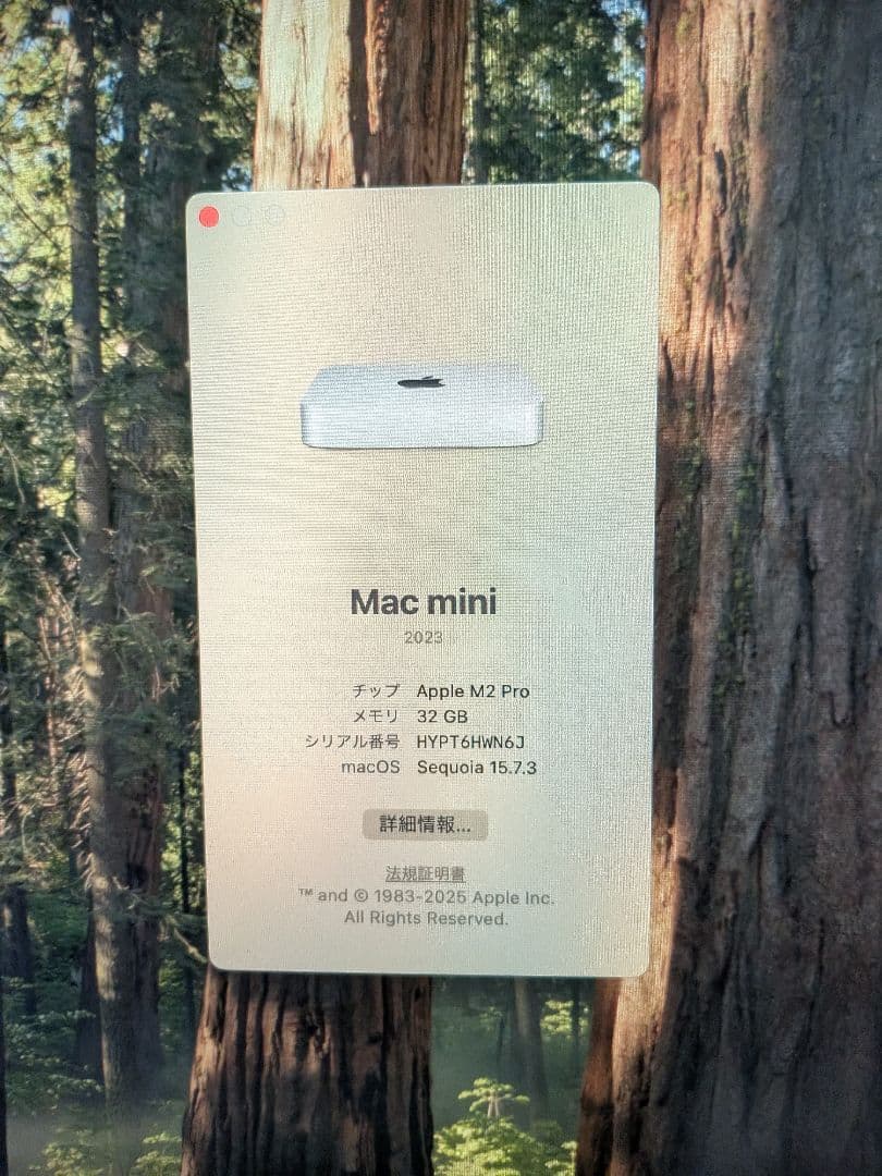 Macデスクトップ Apple Mac mini 2023 M2 Pro 32GB 1TB