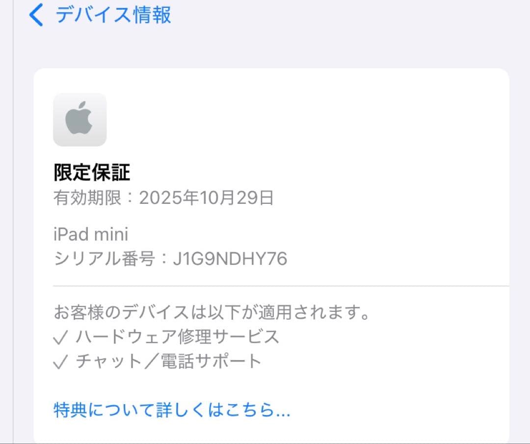 K*様 iPad mini A17pro 第7世代 wifi 128GB スペー