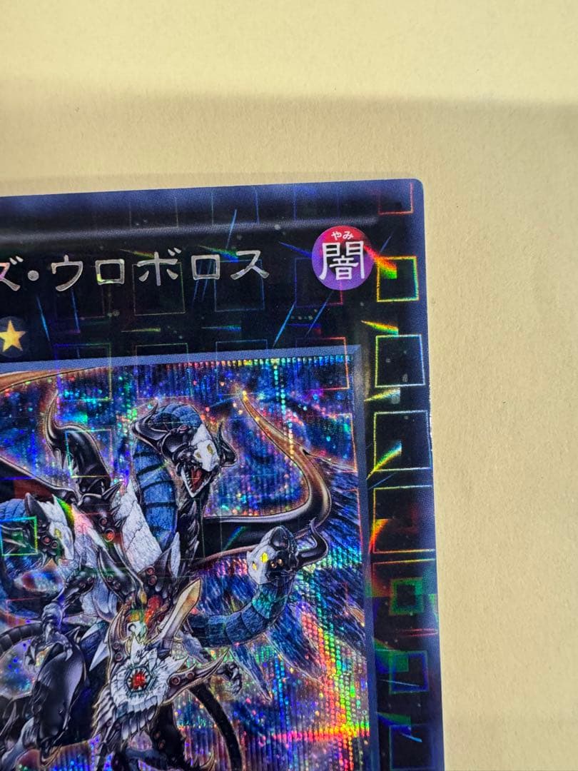 遊戯王　遊戯王　ヴェルズ　ウロボロス　dtc シークレット