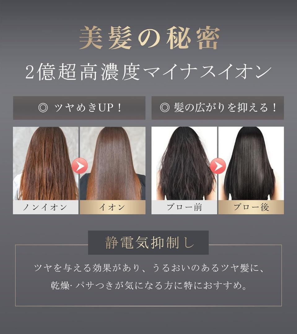 新品⭐️【美人百花掲載】ANLAN ダブルケアドライヤーSE LDK雑誌 A評価