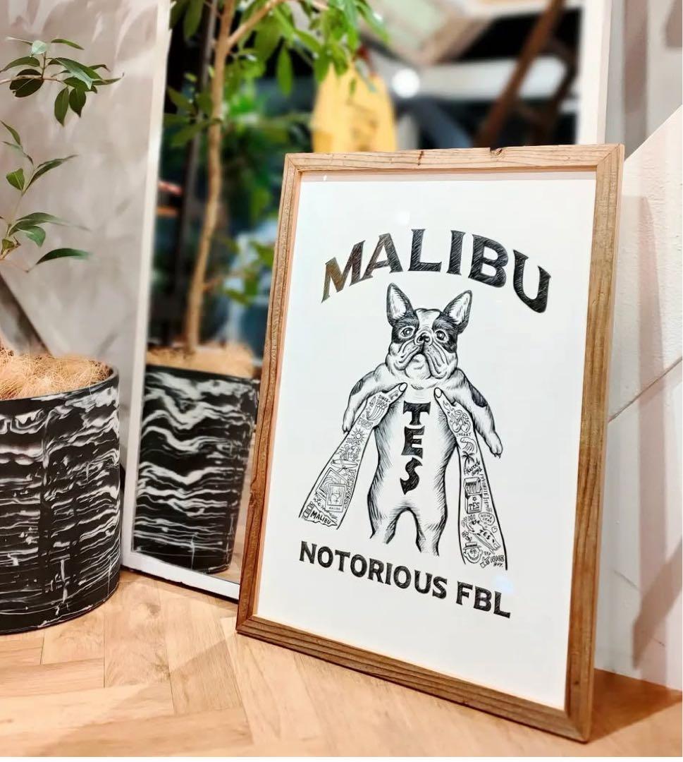 The endless summer グラフィック