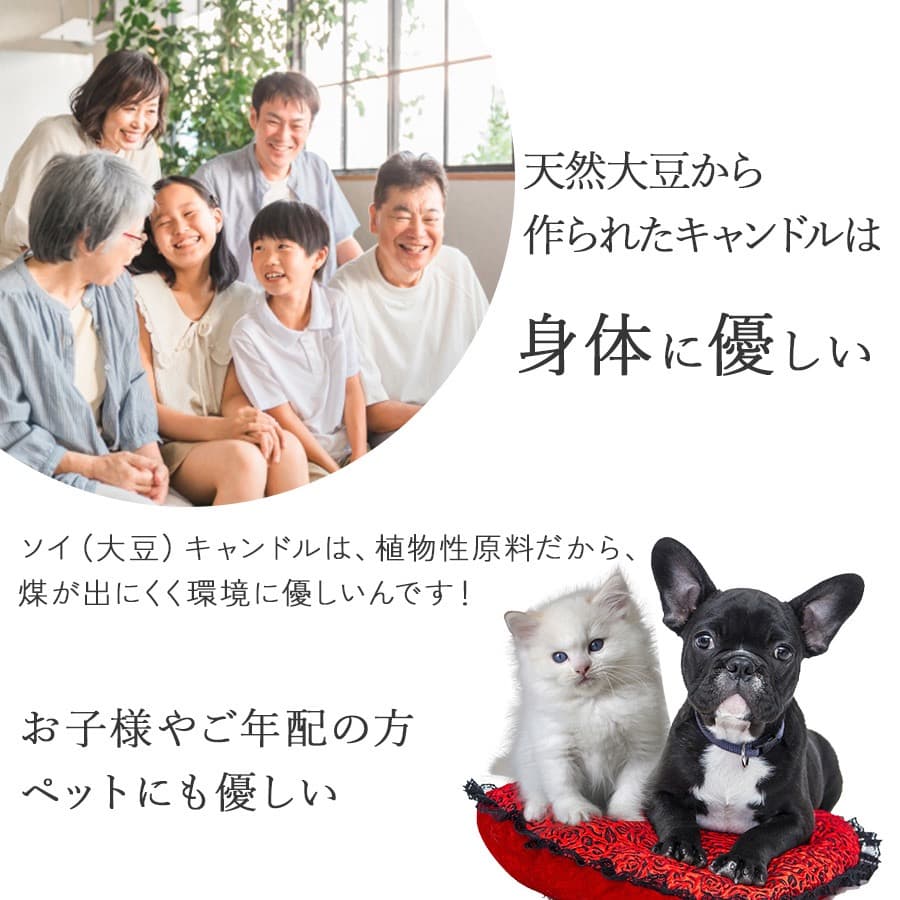 ガラスかぶせ蓋 ソイ キャンドル セージ＆パロサント 浄化 キャンドル