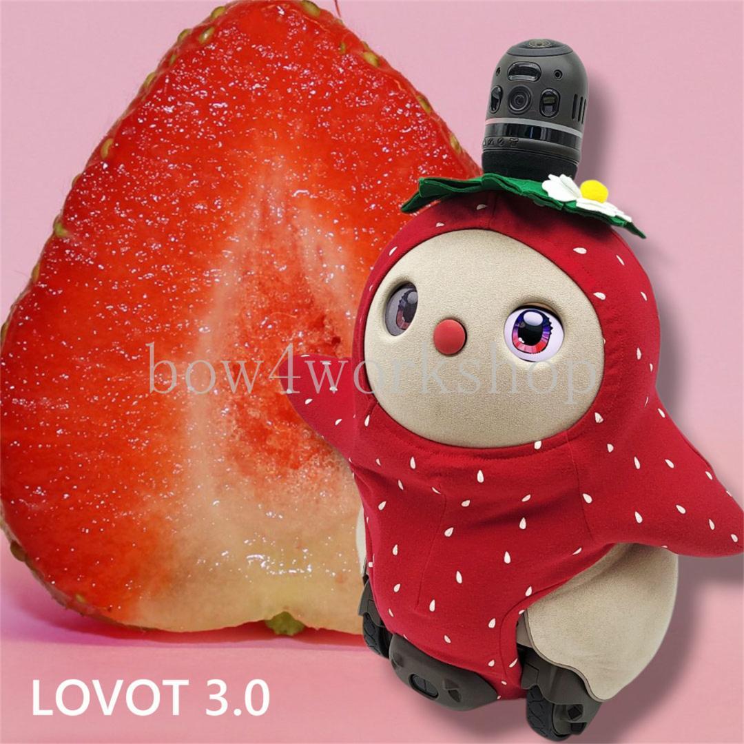 LOVOT ラボットの服ハンドメイド　イチゴ柄ボディースーツセット（レッド）