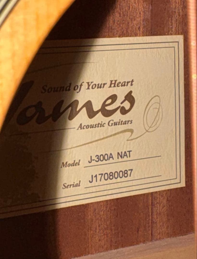 James アコースティックギターとケースなど　9点セット　美品