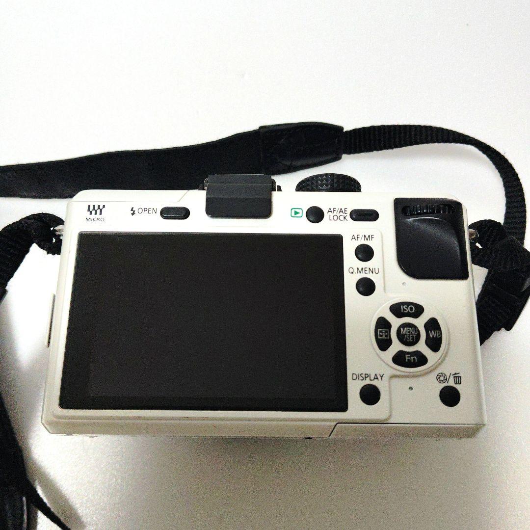 Panasonic LUMIX GF1 DMC-GF1カメラジャンク品　　284