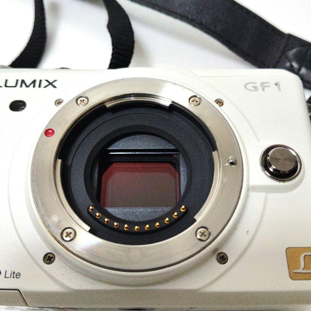 Panasonic LUMIX GF1 DMC-GF1カメラジャンク品　　284