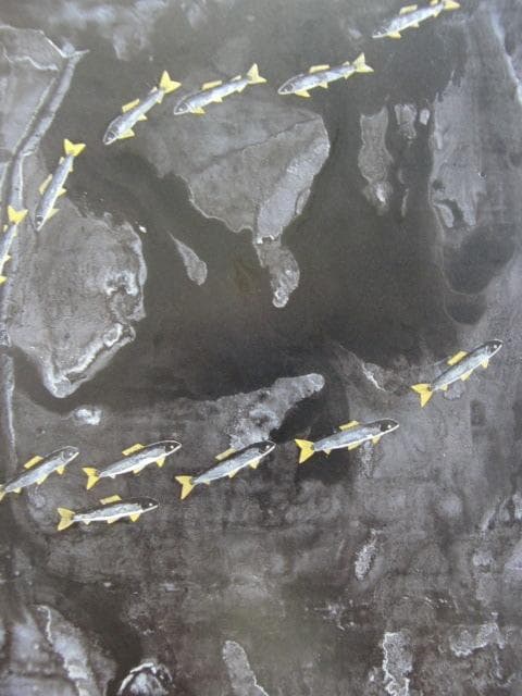 平松礼二 、【庄川水思】、新品高級額 額装付、日本画 希少画集画 状態良好