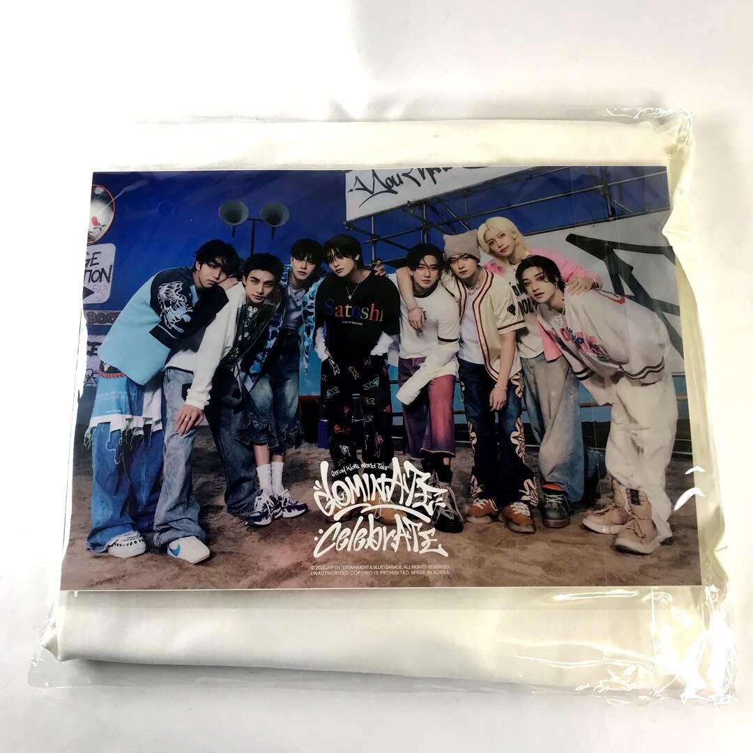 straykids スキズ celebrATE ソウル ロンT 長袖 A4