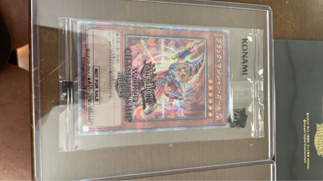 N*p様 遊戯王Wcs 2023来場特典