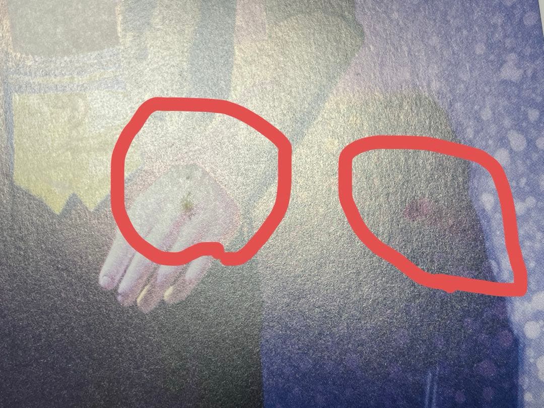 【ユーリ!!! on ICE】ミストグラフ（高精細複製画)／勝生勇利EX