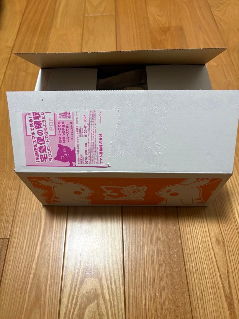 新品未使用　30周年記念 ピカピカ！ピカチュウ マスコット&ぬいぐるみ2点セット