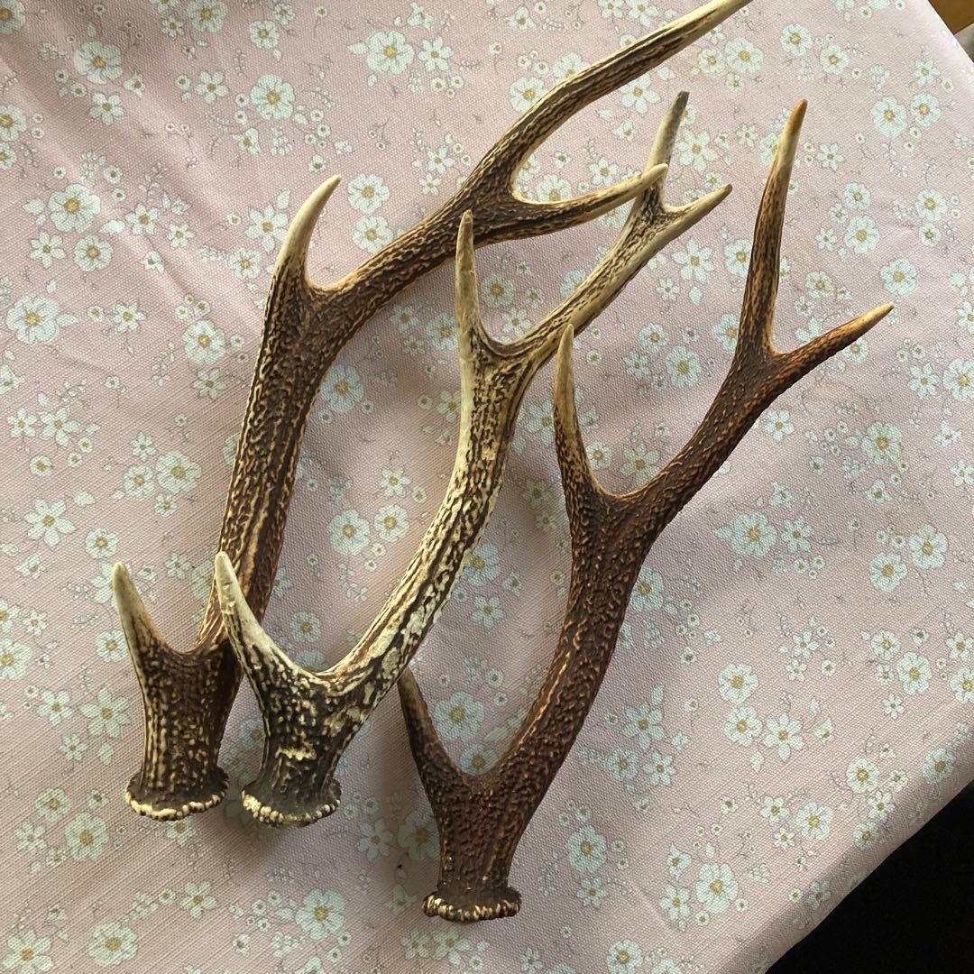 犬用、装飾用日本鹿角 5本セット出品禁止品に該当しません