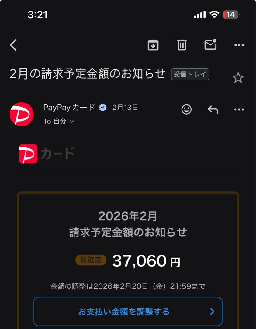 誰も見てくれないから格安出品 ひかるレックウザ