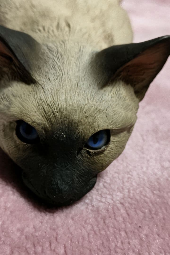 陶器製シャム猫