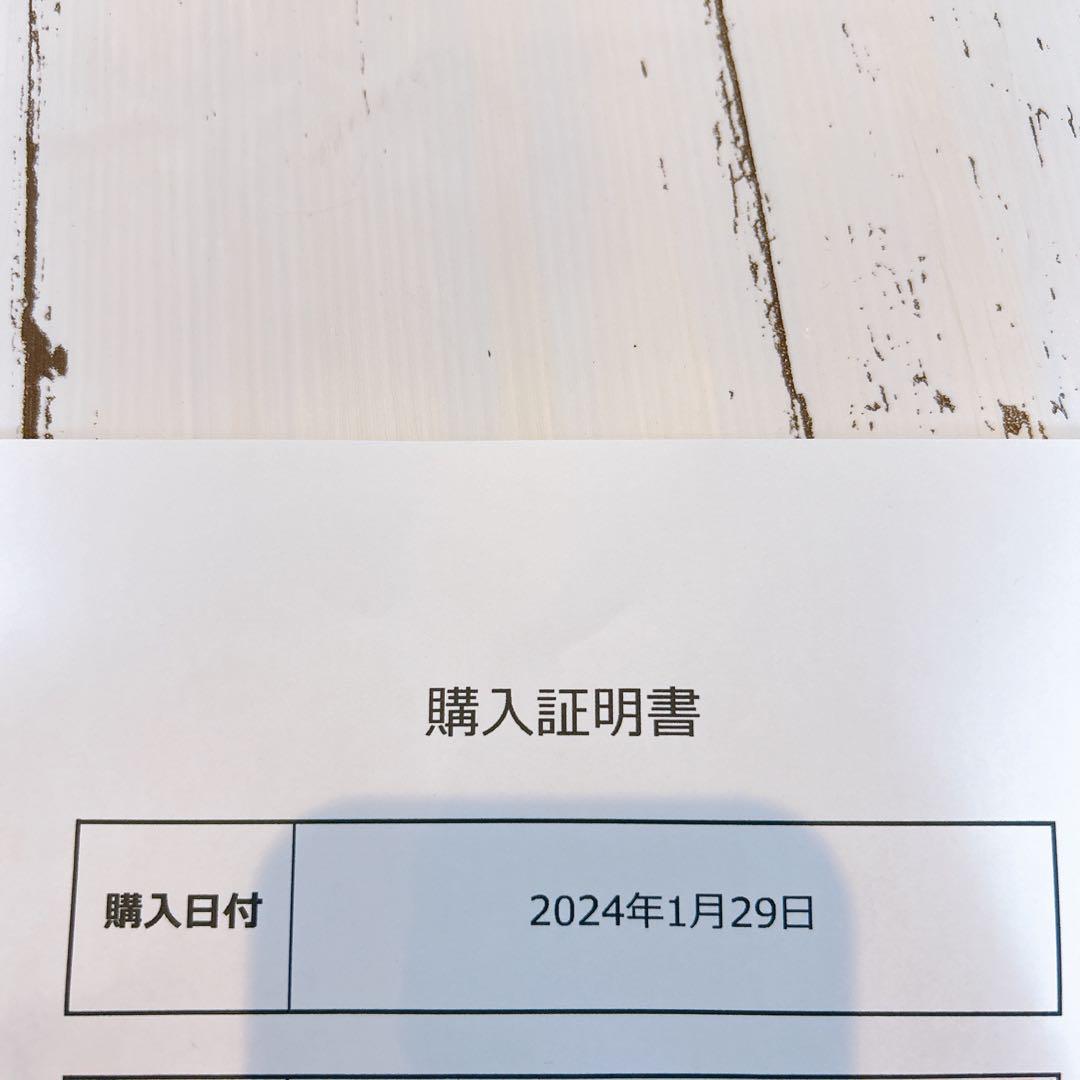 【ほぼ新品】アールケ Carbonator PROステンレス製炭酸水サーバー