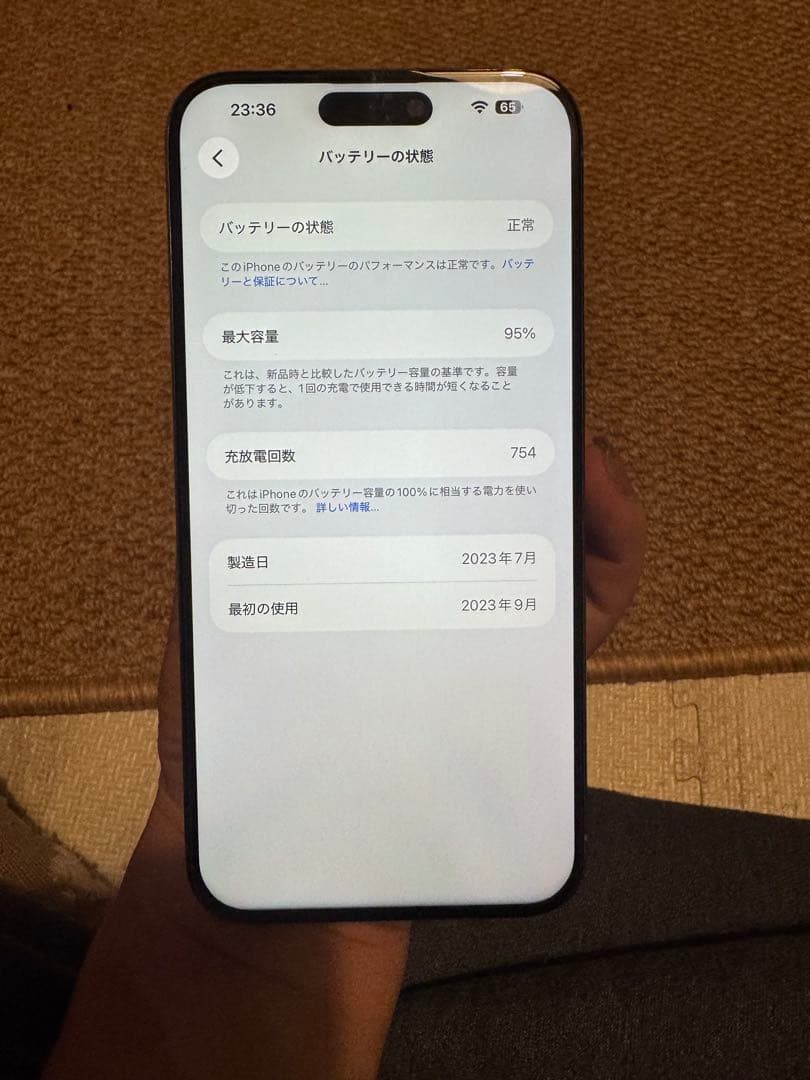 海外版 iPhone 15 Pro Max 1TB，美品，バッテリーは95%