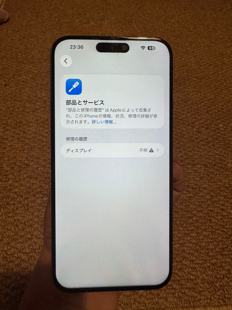 海外版 iPhone 15 Pro Max 1TB，美品，バッテリーは95%