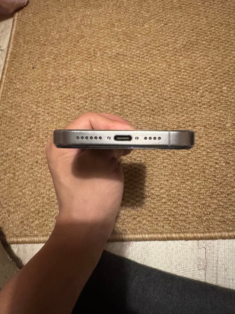 海外版 iPhone 15 Pro Max 1TB，美品，バッテリーは95%