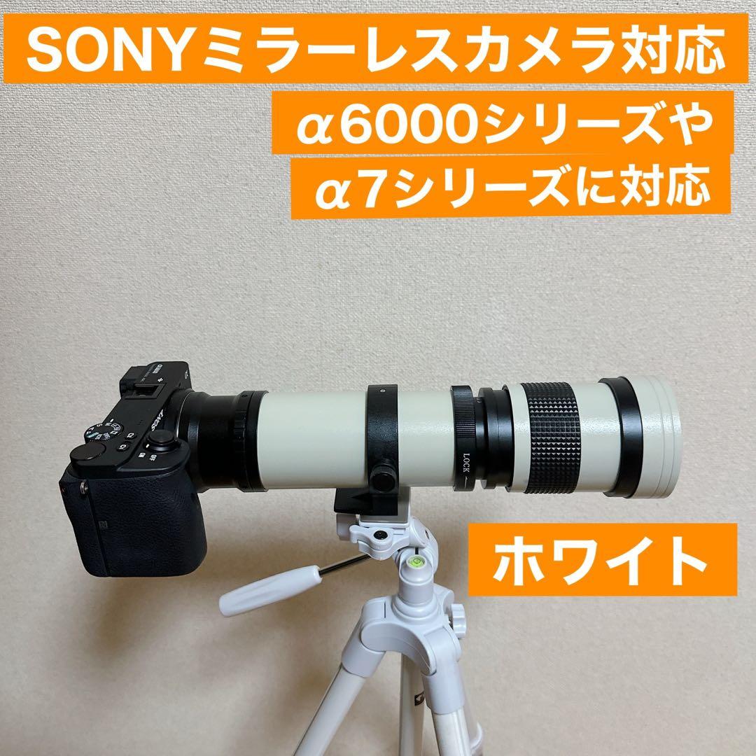 高評価！1600まで撮影！便利なズームレンズ！SONYカメラをお持ちの方に！綺麗