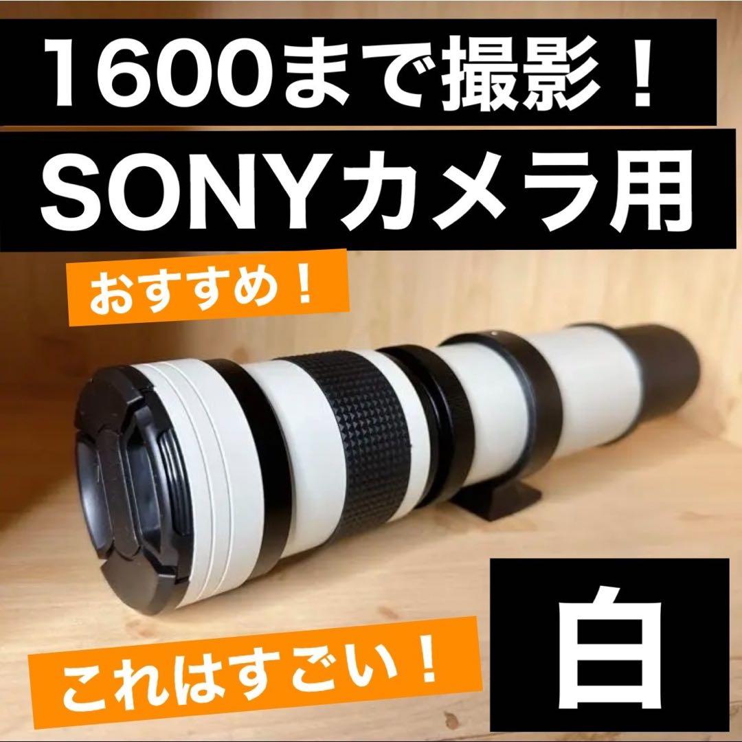 高評価！1600まで撮影！便利なズームレンズ！SONYカメラをお持ちの方に！綺麗