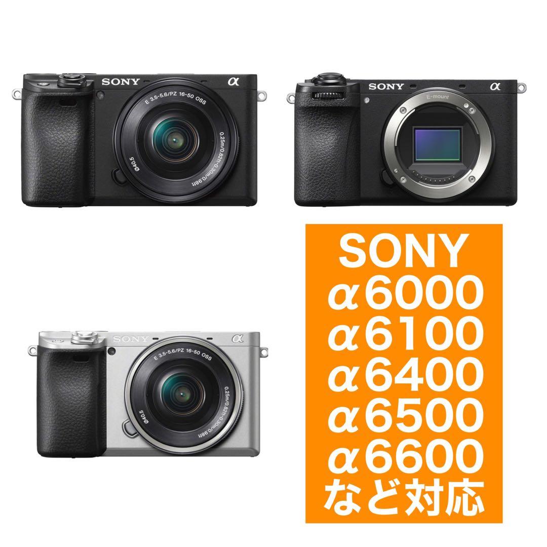高評価！1600まで撮影！便利なズームレンズ！SONYカメラをお持ちの方に！綺麗