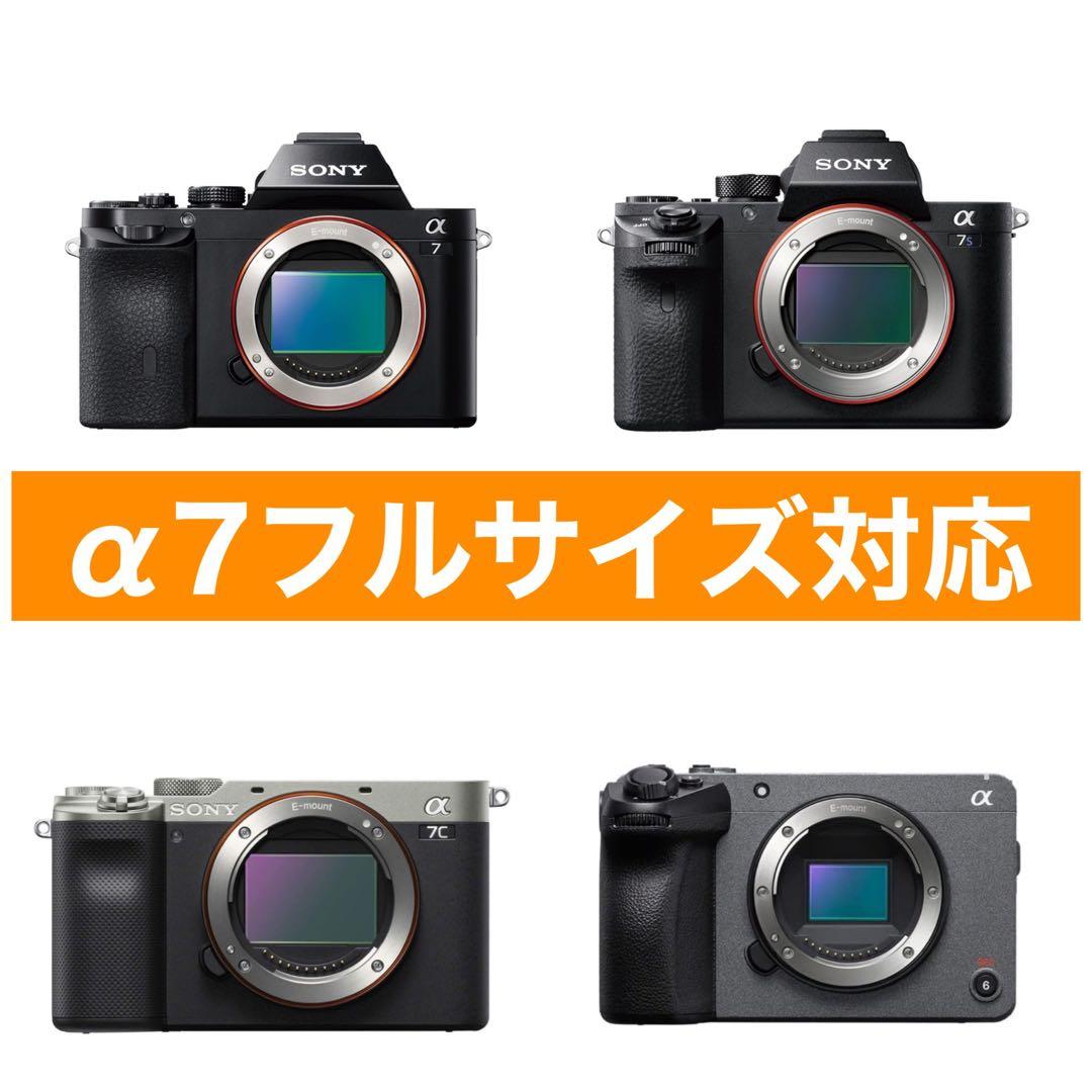 高評価！1600まで撮影！便利なズームレンズ！SONYカメラをお持ちの方に！綺麗