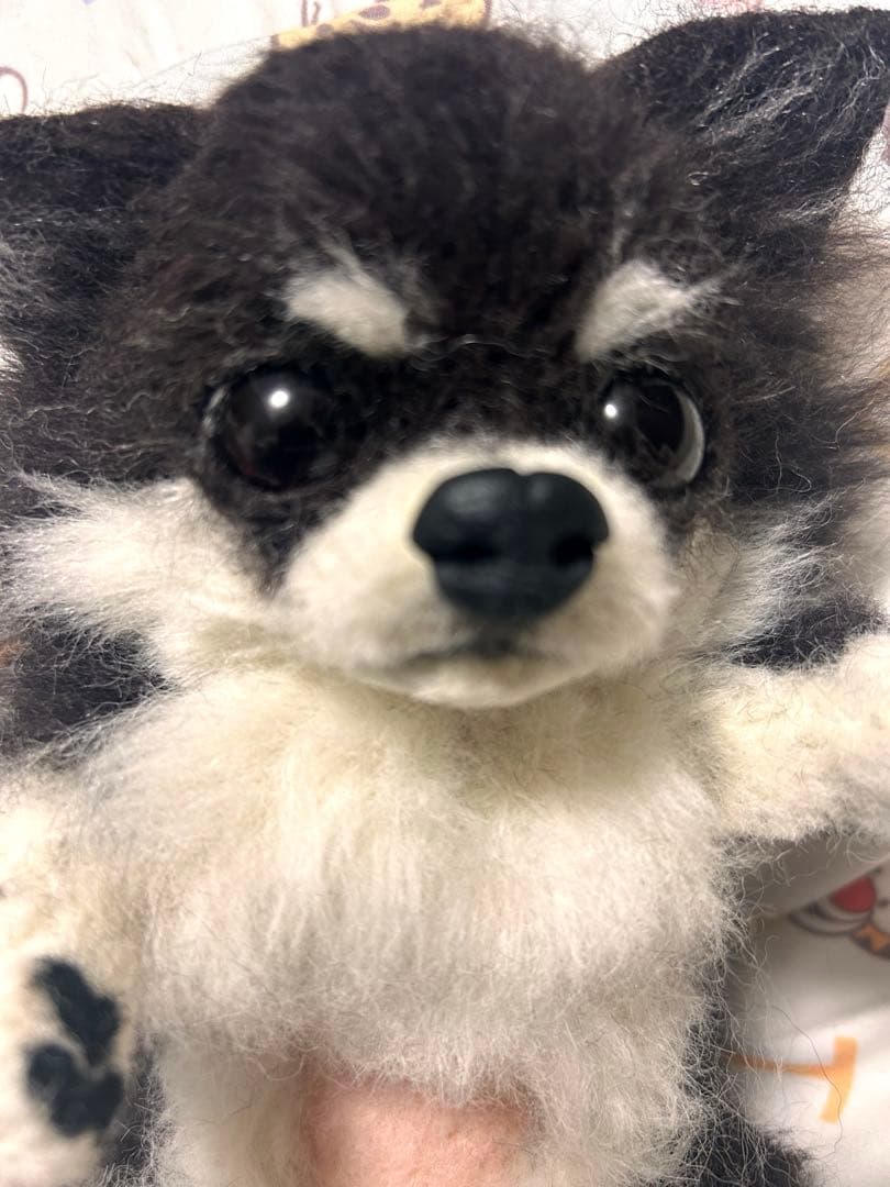 羊毛フェルト　お腹みせブラタンチワワちゃん人形