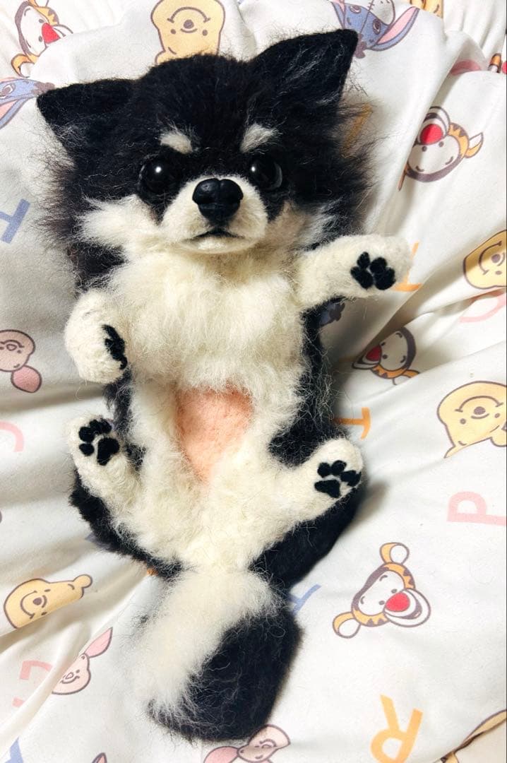 羊毛フェルト　お腹みせブラタンチワワちゃん人形